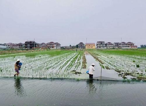 中国水产养殖网